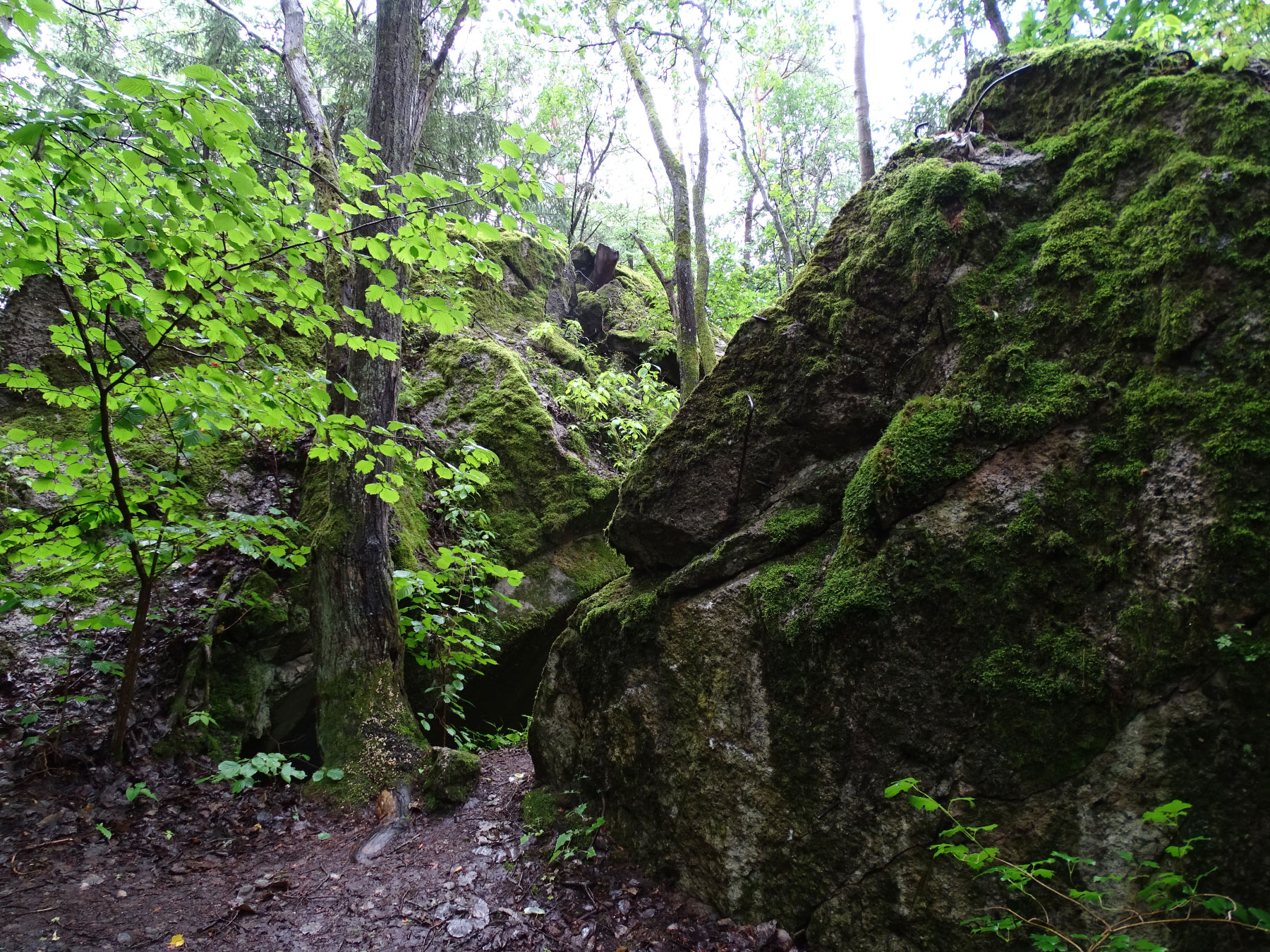 Ruins of Bunker Complex Wolfsschanze - Hitler Eastern Headquarters, Gierloz, Masuria
